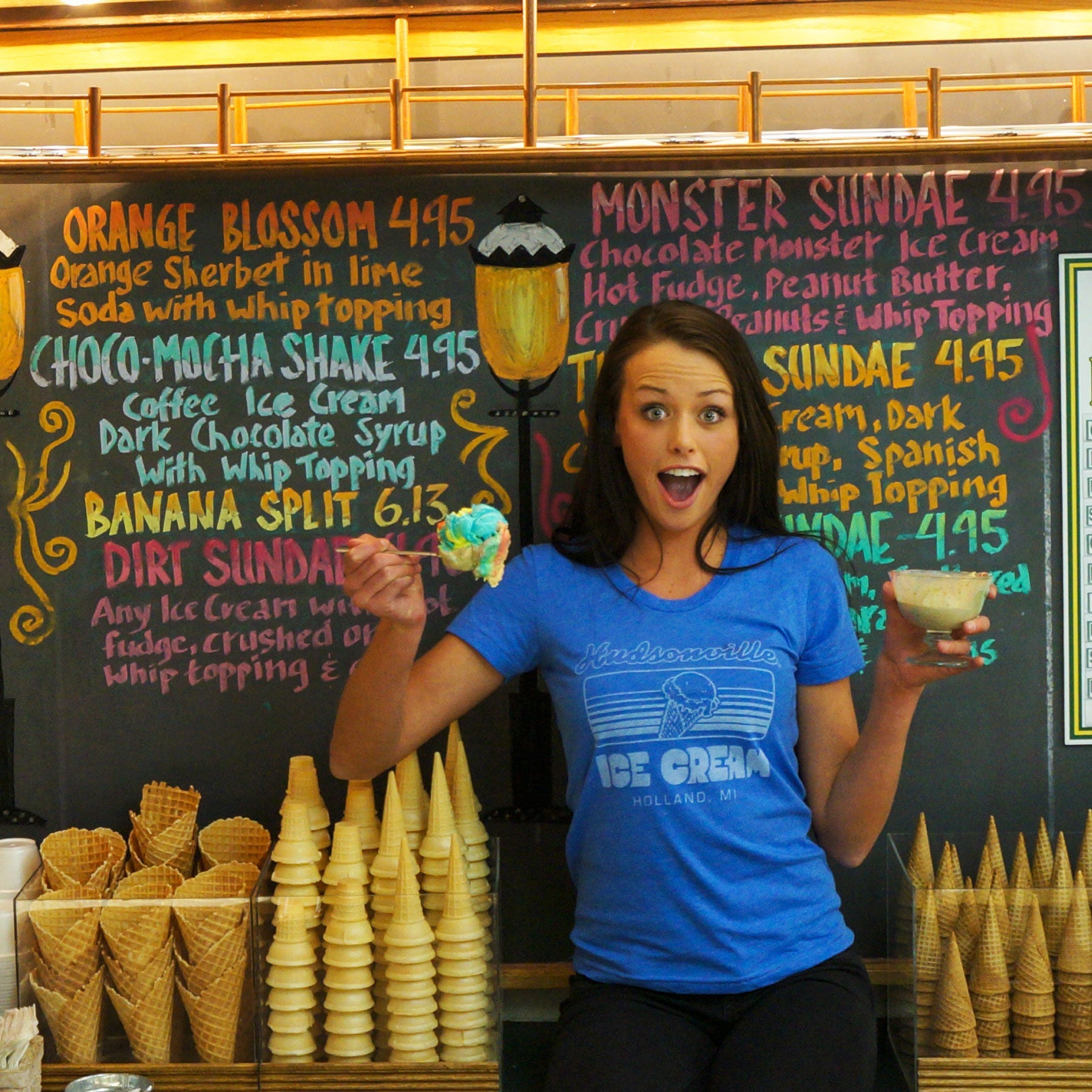 Hudsonville Ice Cream