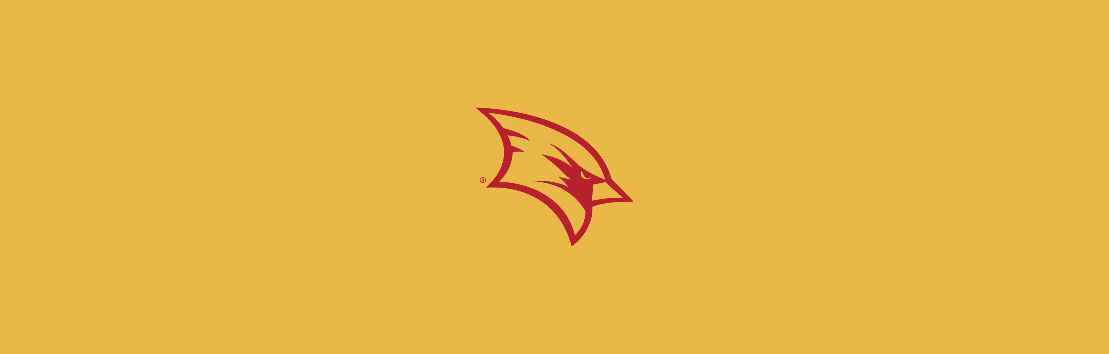 Saginaw Valley State University