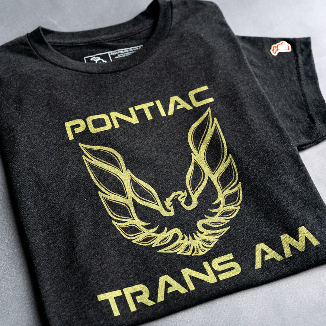 Pontiac Firebird | General Motors | The Mitten State